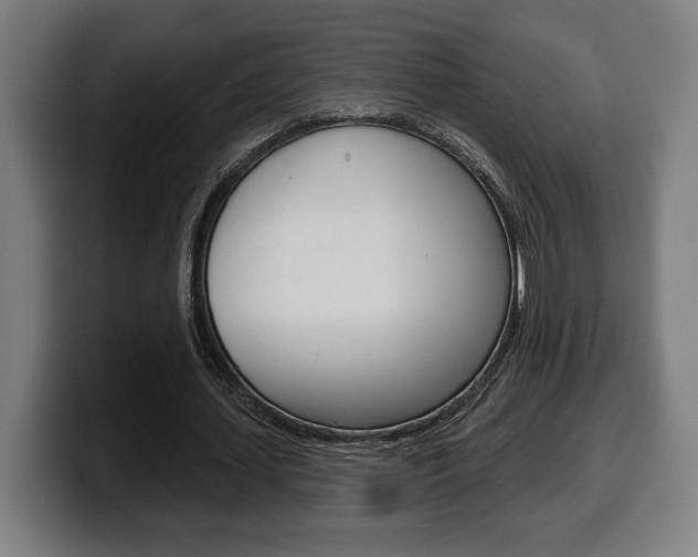 X0000099500627200805150950