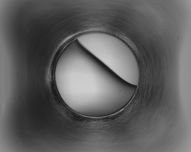 X0000099500628200805150950