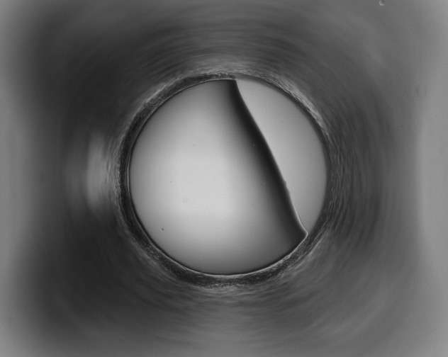 X0000099500629200805150950