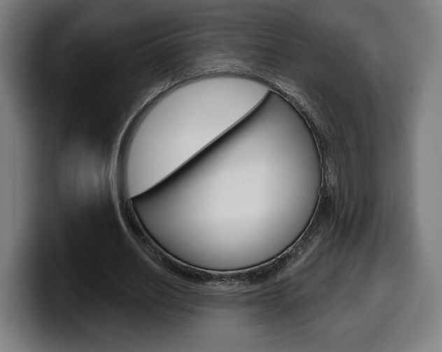 X0000099500630200805150950
