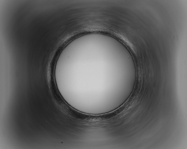 X0000099500631200805150950