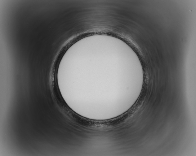 X0000099500632200805150950
