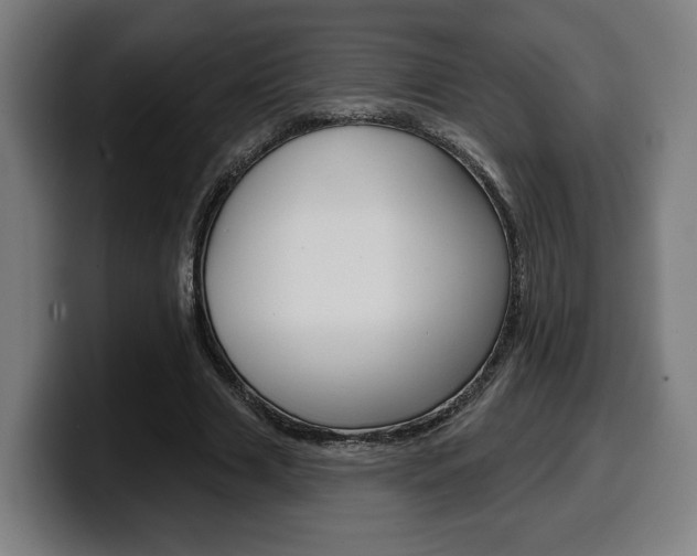 X0000099500633200805150950
