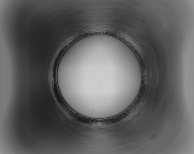 X0000099500634200805150950