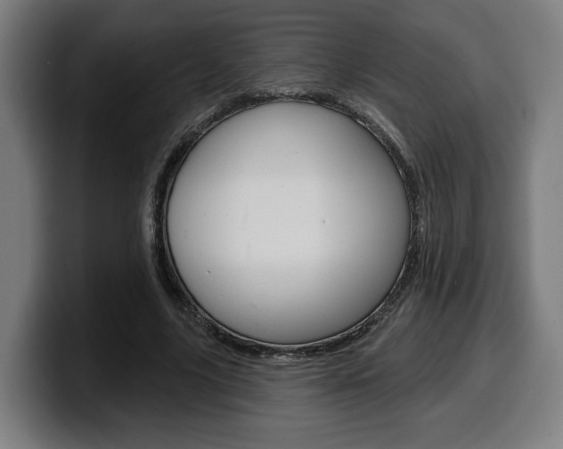 X0000099500635200805150950