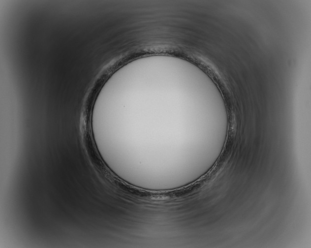 X0000099500636200805150950