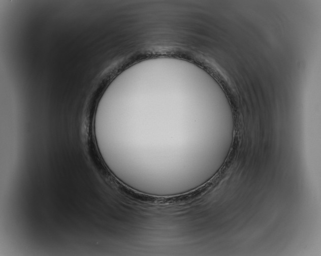 X0000099500640200805150950