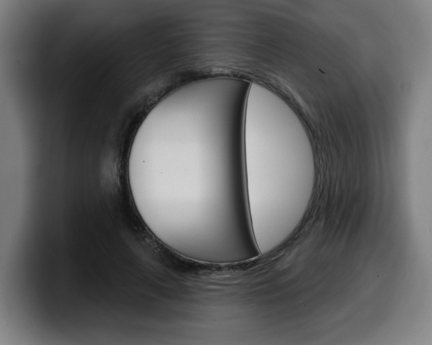 X0000099500643200805150950