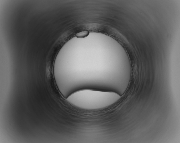 X0000099500644200805150950
