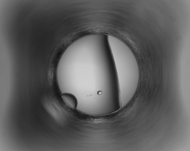 X0000099500645200805150950