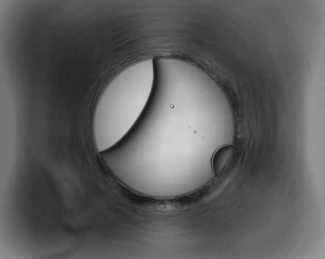 X0000099500646200805150950