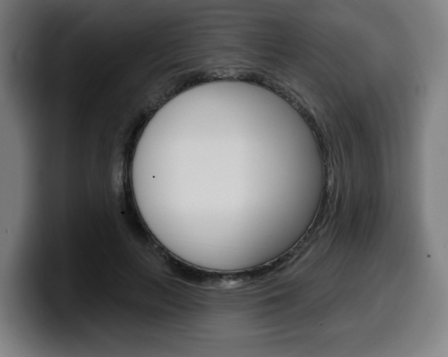 X0000099500647200805150950