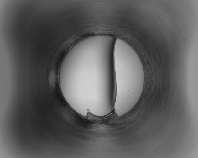 X0000099500648200805150950
