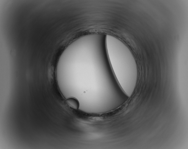 X0000099500649200805150950