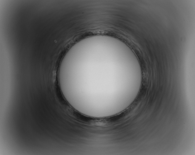 X0000099500652200805150950