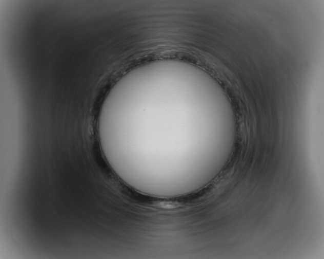 X0000099500654200805150950