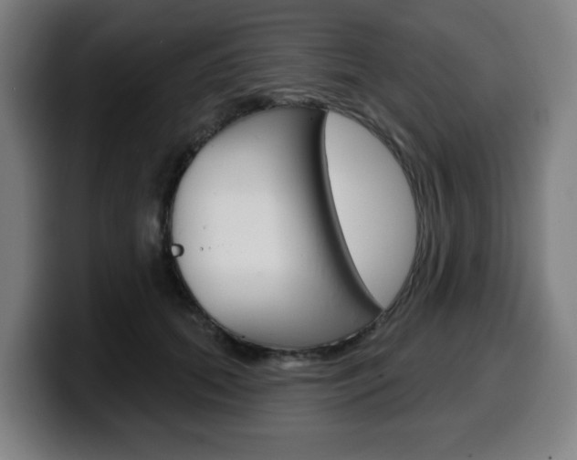 X0000099500655200805150950