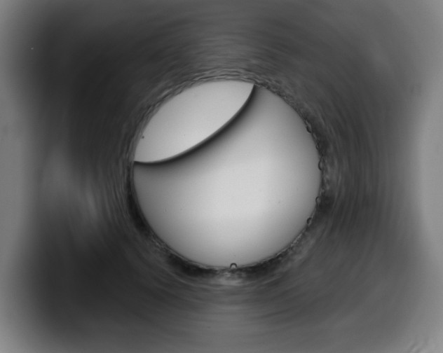 X0000099500656200805150950