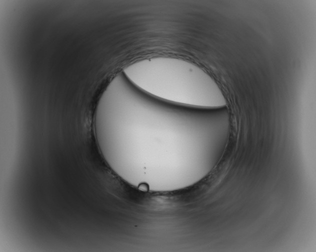 X0000099500657200805150951