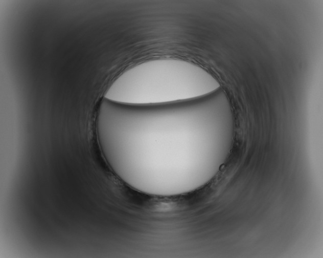 X0000099500658200805150951