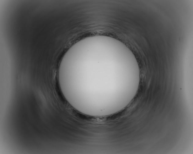 X0000099500660200805150951