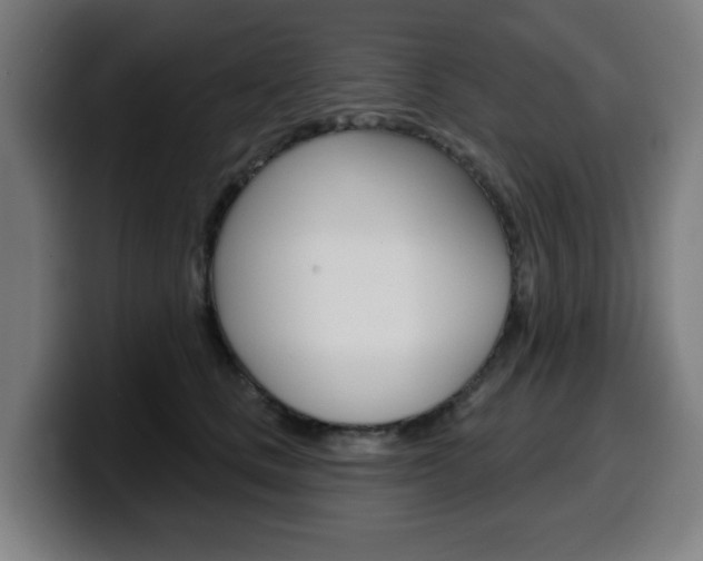 X0000099500661200805150951