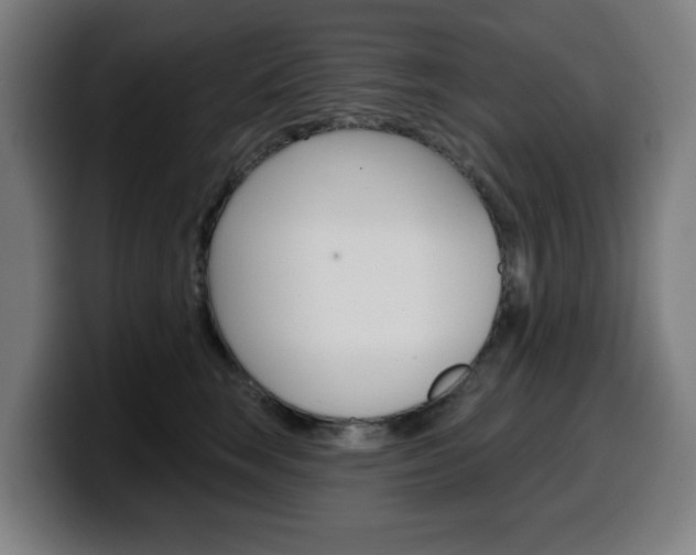 X0000099500663200805150951