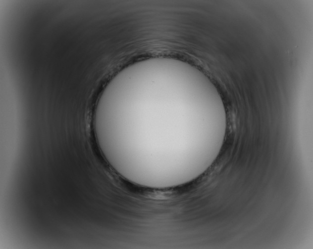 X0000099500664200805150951