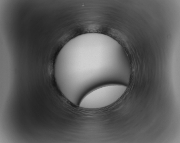 X0000099500665200805150951