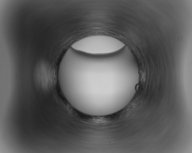 X0000099500666200805150951