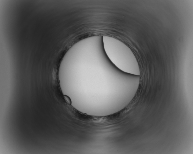 X0000099500667200805150951
