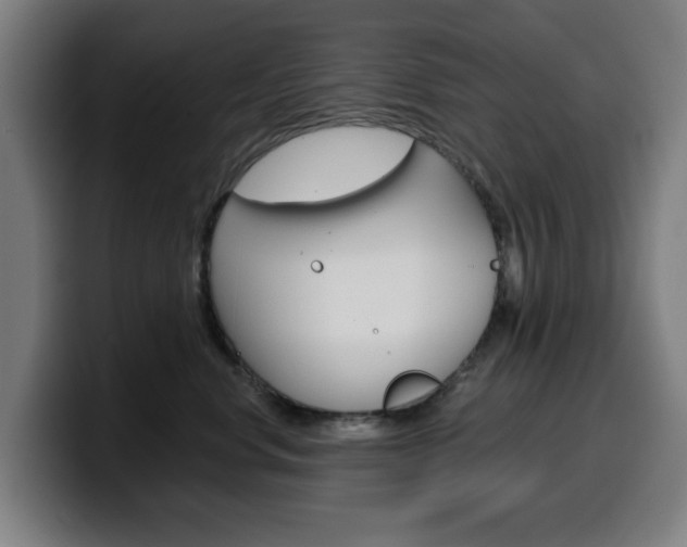 X0000099500668200805150951