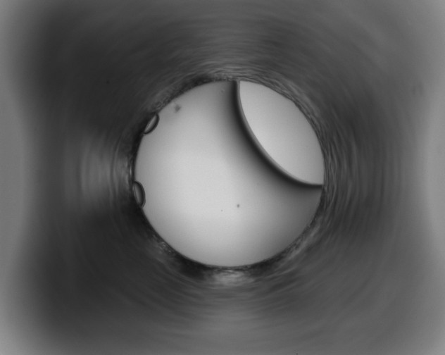 X0000099500669200805150951