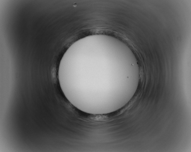 X0000099500670200805150951