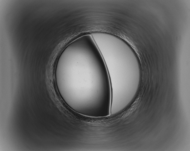 X0000099500673200805150950