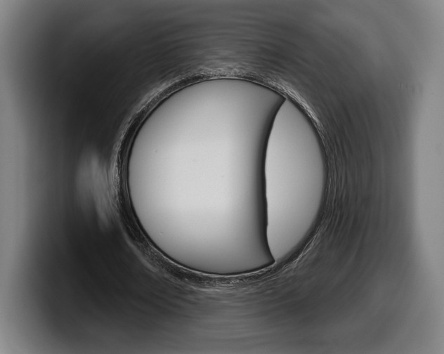 X0000099500674200805150950