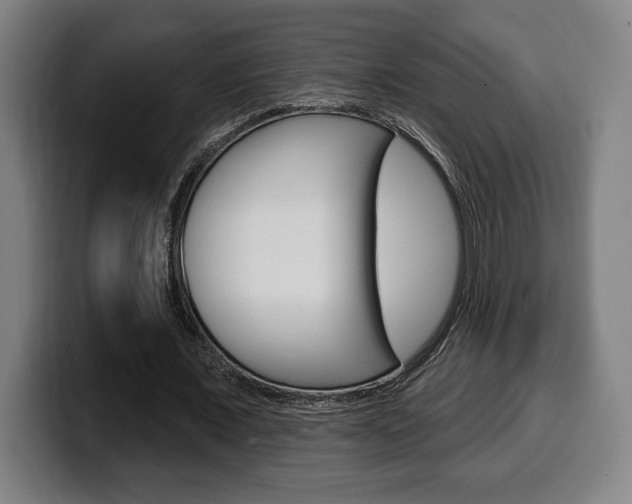 X0000099500675200805150950