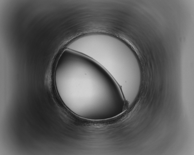 X0000099500677200805150950