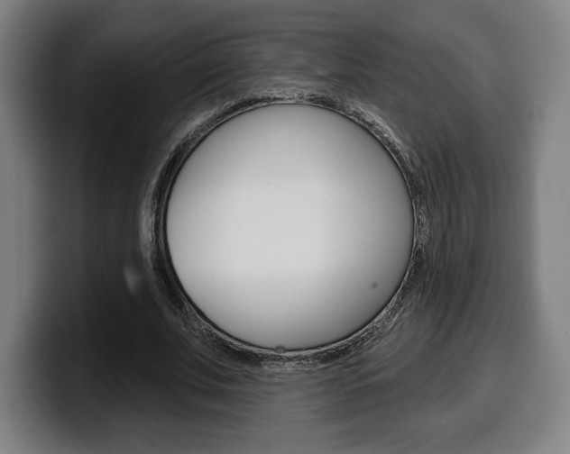 X0000099500679200805150950