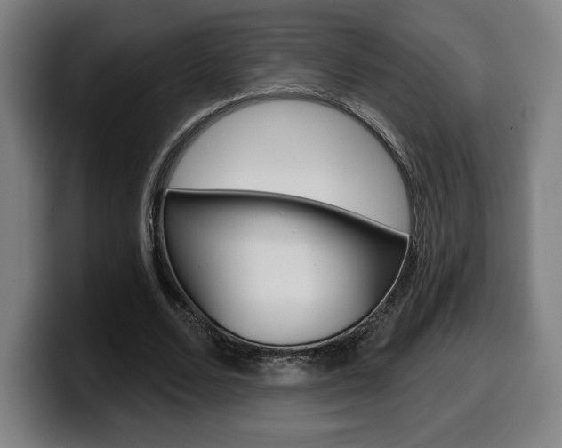 X0000099500680200805150950
