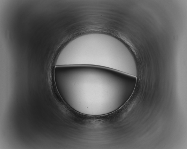 X0000099500681200805150950