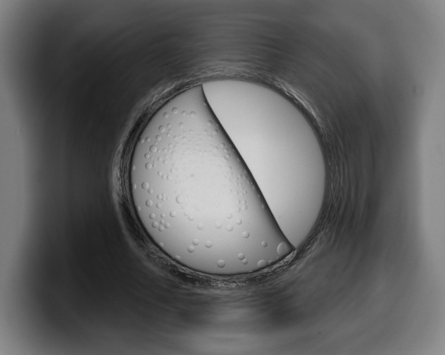 X0000099500682200805150950
