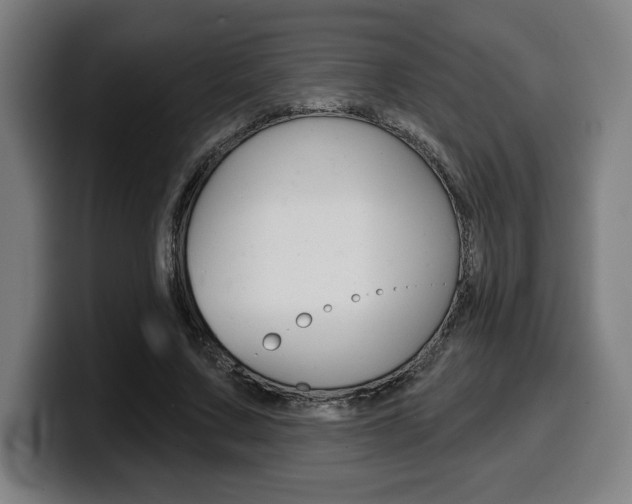 X0000099500683200805150950