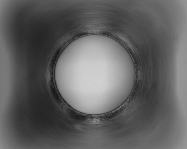 X0000099500687200805150950