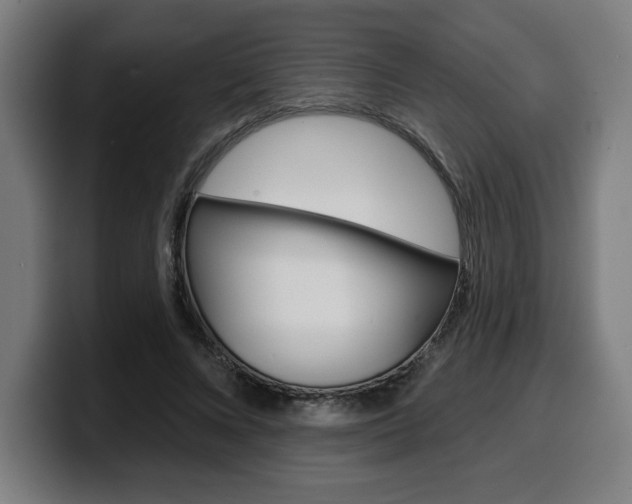 X0000099500688200805150950
