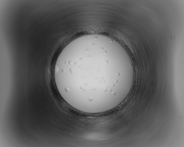 X0000099500690200805150950