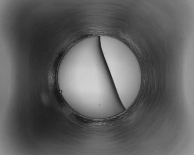 X0000099500691200805150950