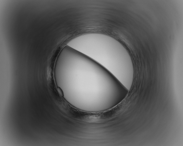 X0000099500692200805150950