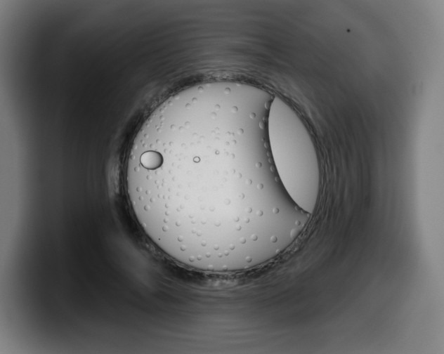 X0000099500694200805150950