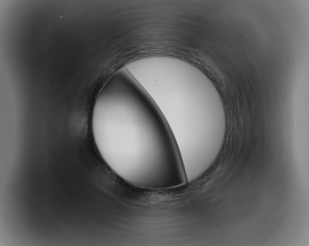 X0000099500697200805150950